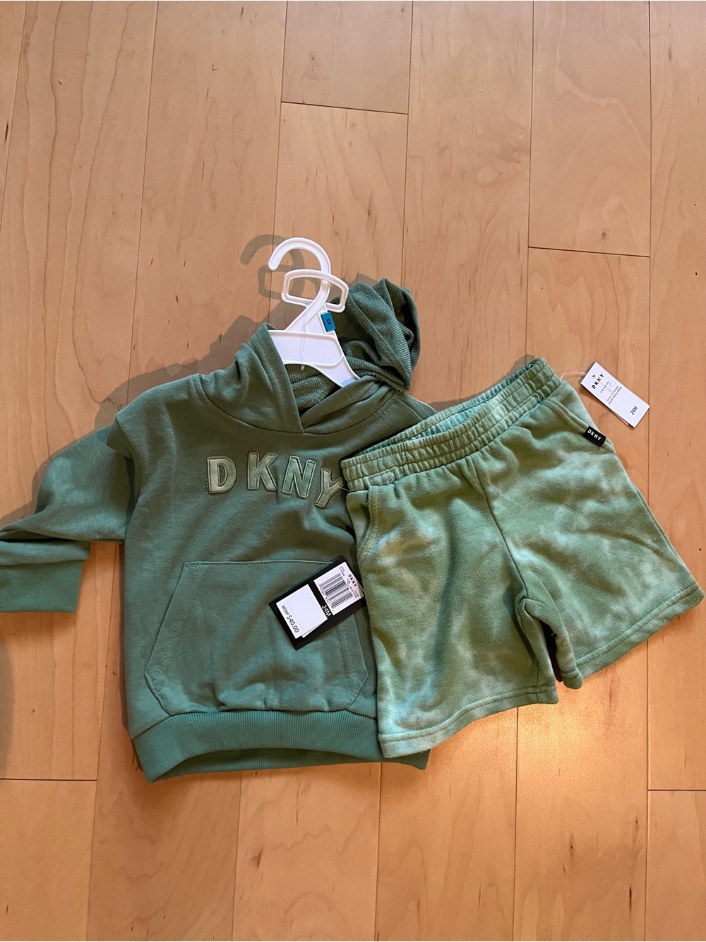 DKNY Kids Sage Green Hoodie & Shorts Set